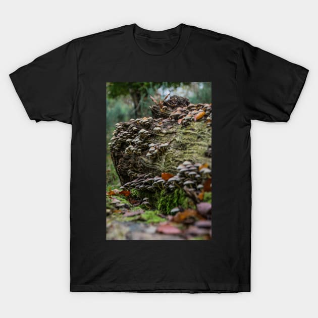 A natural highrise T-Shirt by JMKphotos